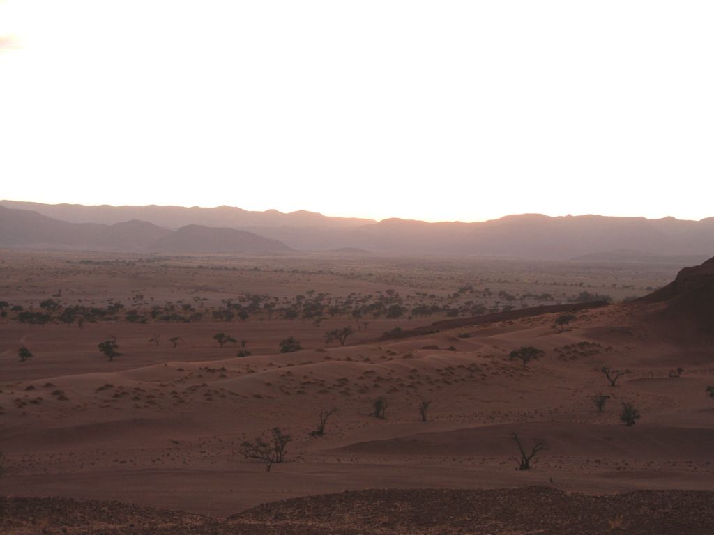 namib desert